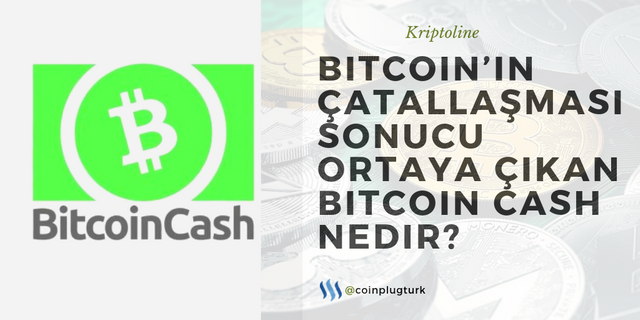 Bitcoin cash e ne oldu